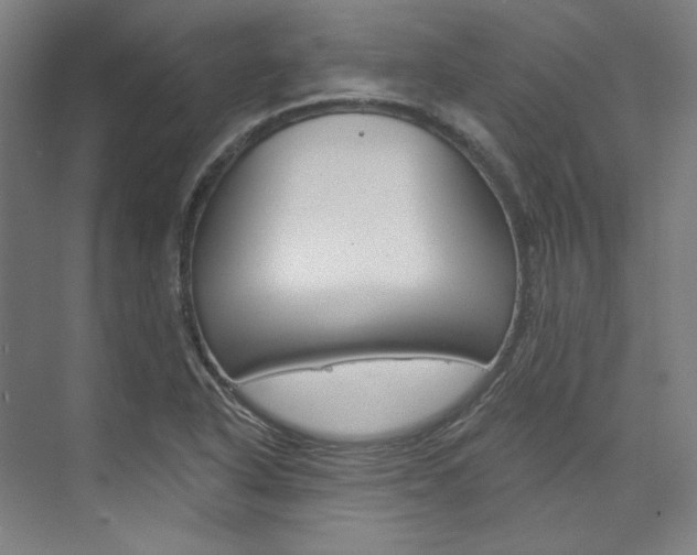 X0000074001318200608211057
