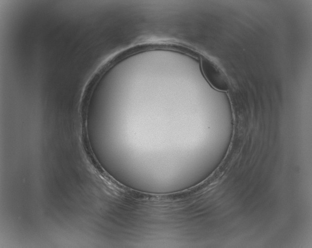 X0000074001319200608211057