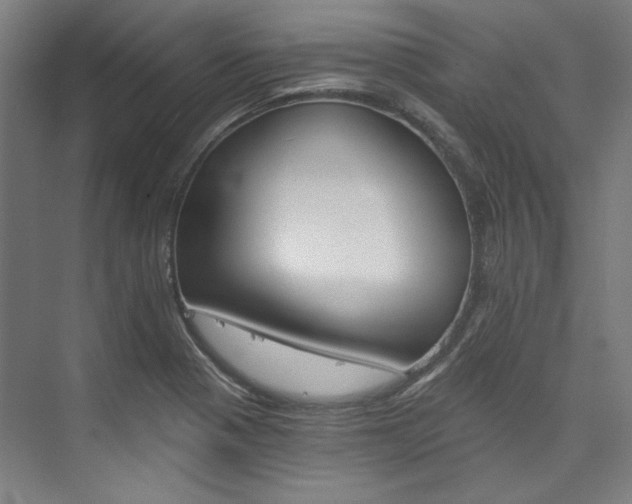 X0000074001321200608211057