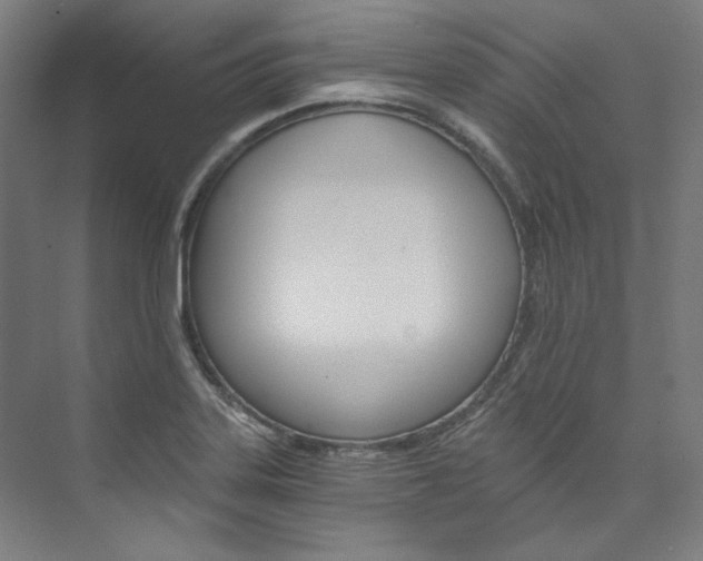 X0000074001323200608211057