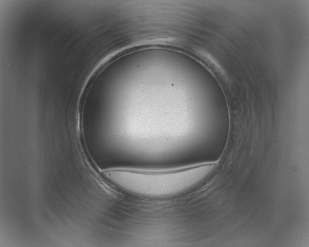 X0000074001324200608211058