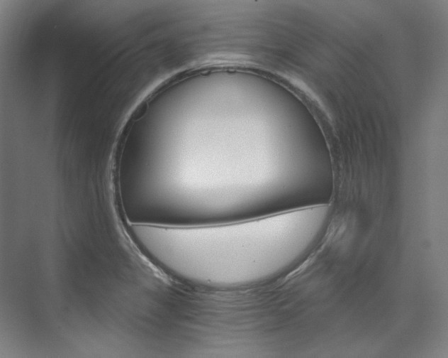 X0000074001325200608211058