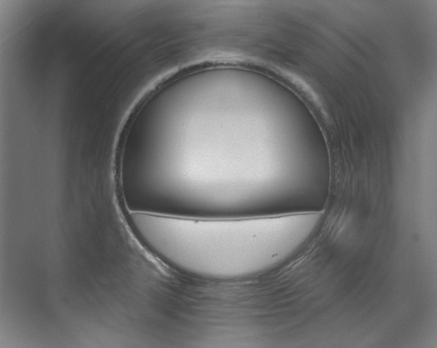 X0000074001327200608211058