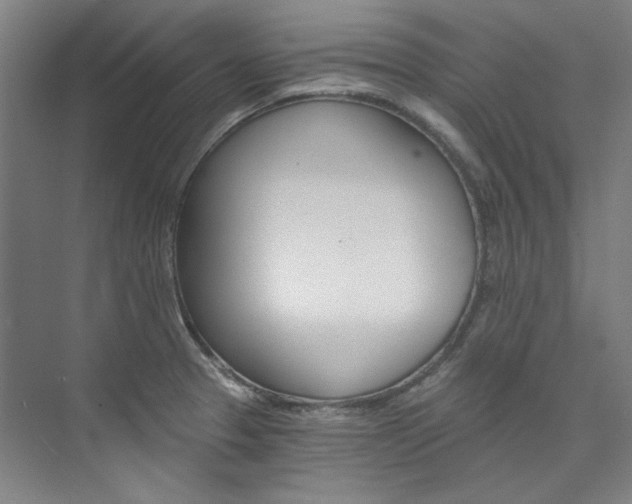 X0000074001329200608211058