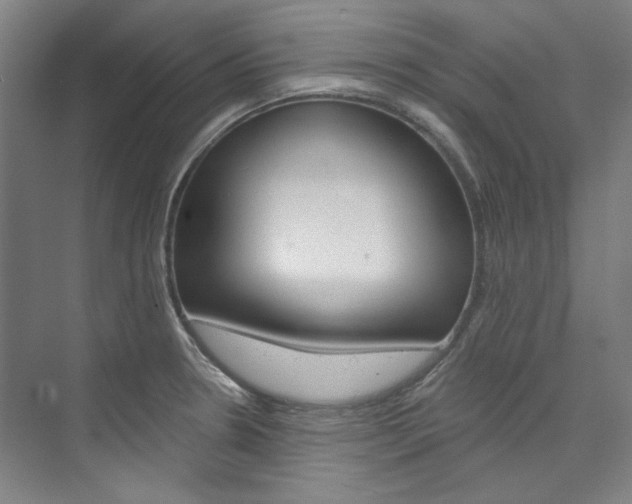 X0000074001330200608211058