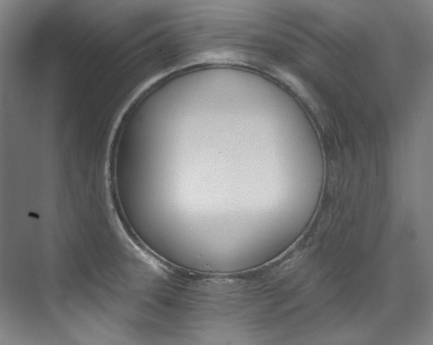 X0000074001331200608211058