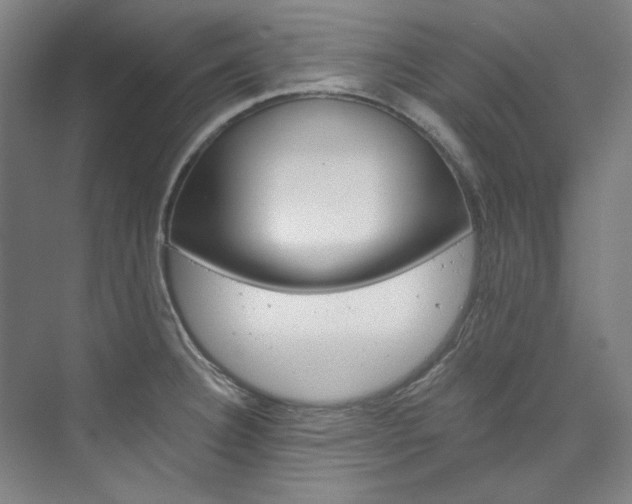 X0000074001332200608211058