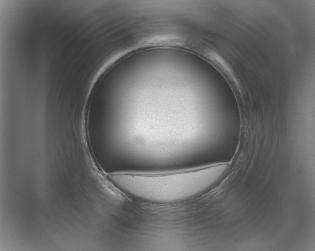 X0000074001336200608211058