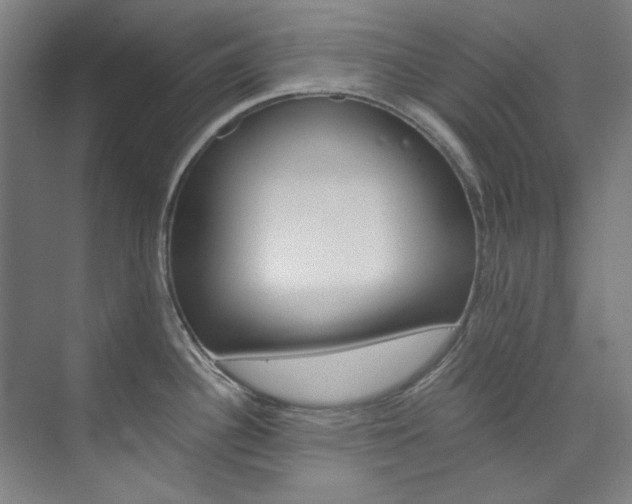 X0000074001340200608211058