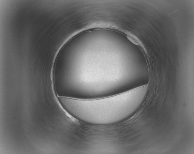 X0000074001343200608211058