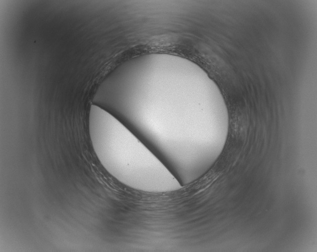 X0000074001346200608211057