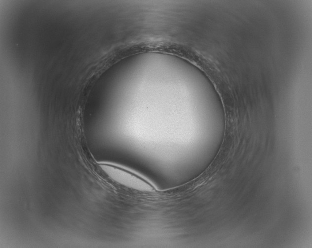 X0000074001349200608211057