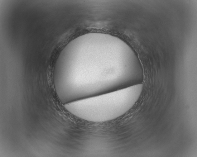X0000074001350200608211057