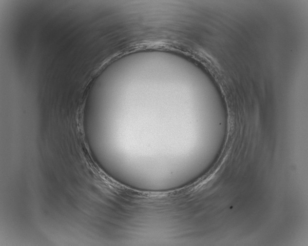 X0000074001353200608211057