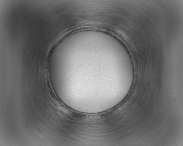 X0000074001354200608211057