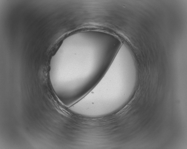 X0000074001355200608211057