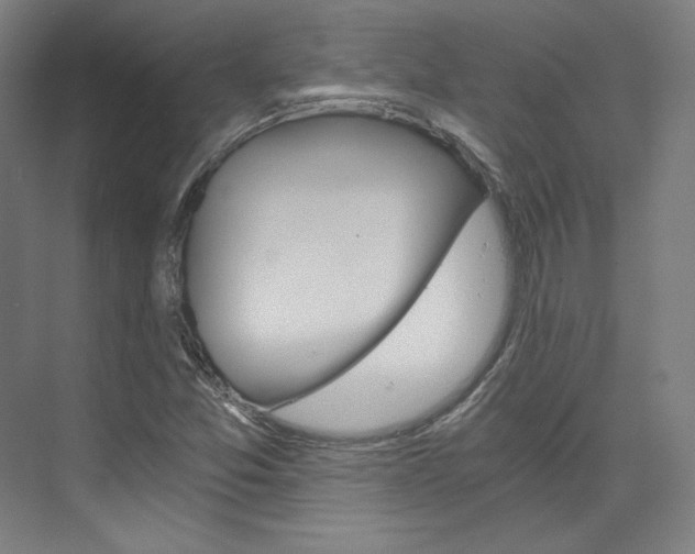 X0000074001357200608211057