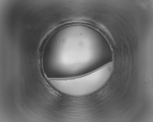 X0000074001360200608211057