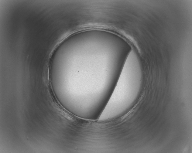 X0000074001365200608211057