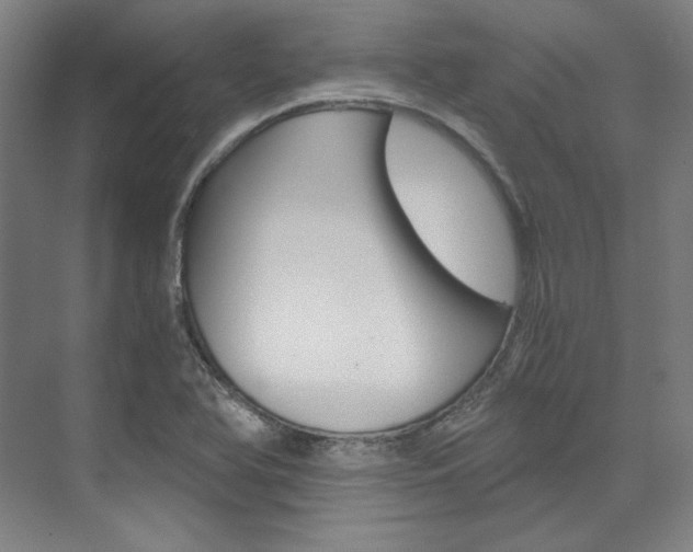 X0000074001366200608211057