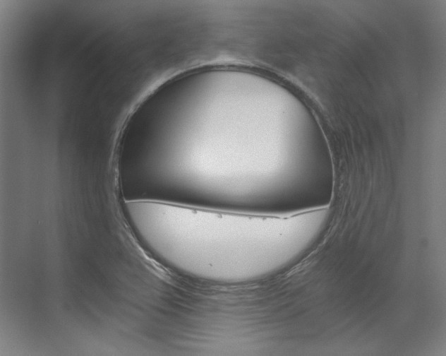 X0000074001367200608211057