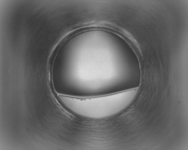 X0000074001368200608211057