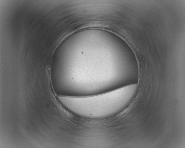 X0000074001369200608211057