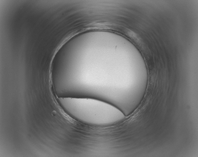 X0000074001370200608211057