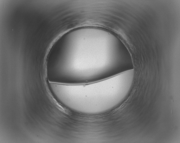 X0000074001371200608211057