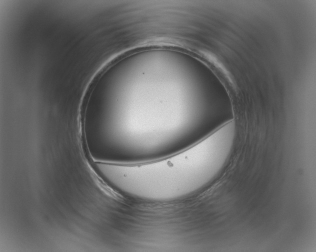 X0000074001372200608211057