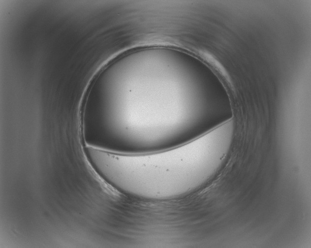 X0000074001380200608211056