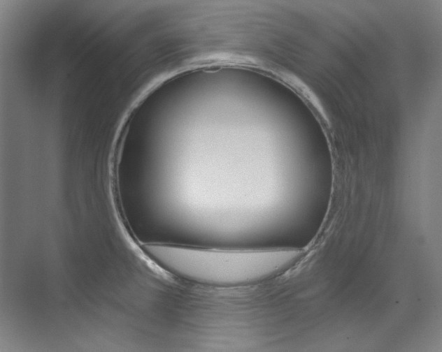 X0000074001381200608211056