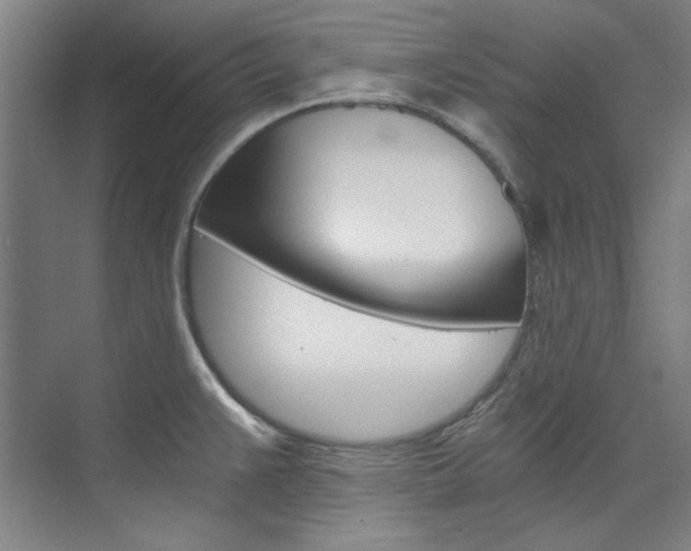 X0000074001383200608211056