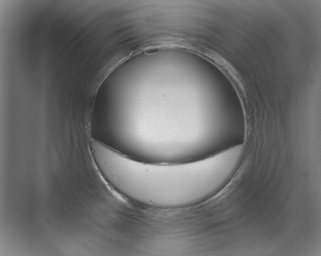 X0000074001385200608211056