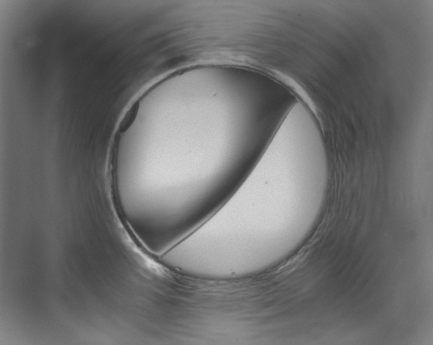 X0000074001387200608211056