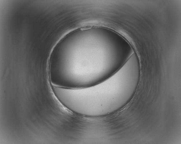 X0000074001392200608211056