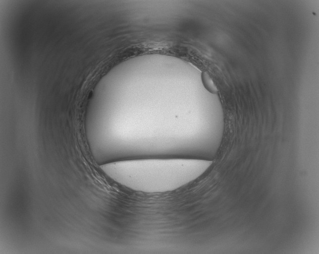 X0000074001393200608211055