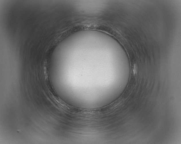 X0000074001396200608211055