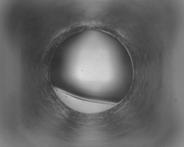 X0000074001398200608211056