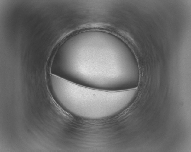 X0000074001404200608211056