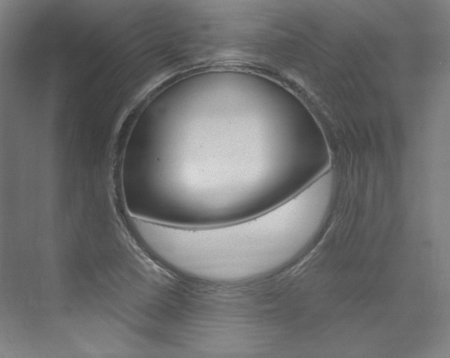 X0000074001410200608211056