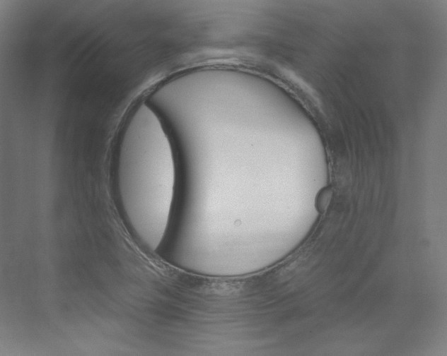 X0000074001411200608211056