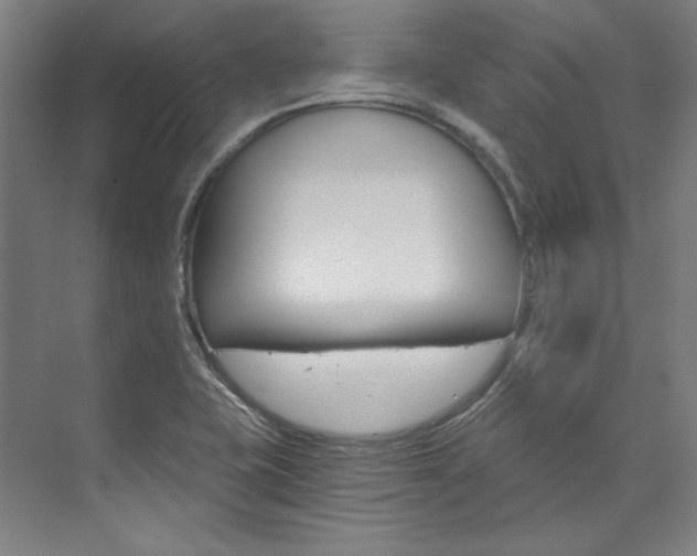 X0000074001415200608211056