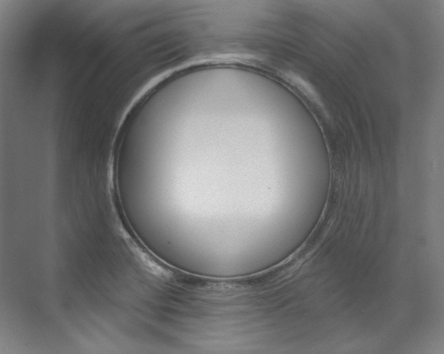 X0000074001420200608211056