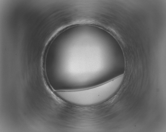 X0000074001422200608211056