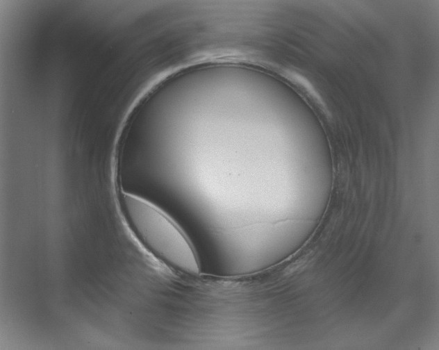 X0000074001424200608211056