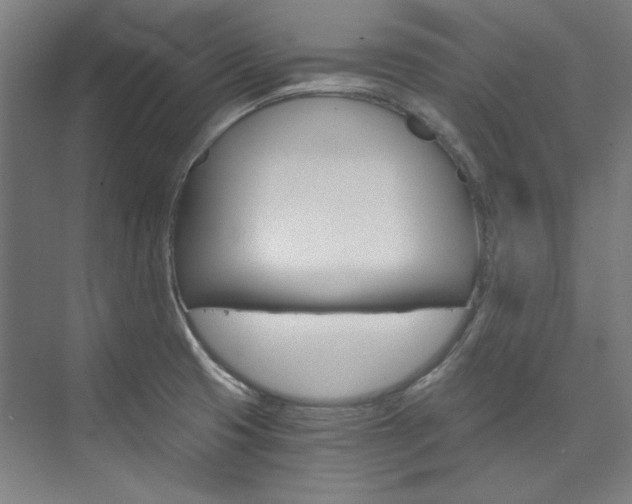X0000074001425200608211056