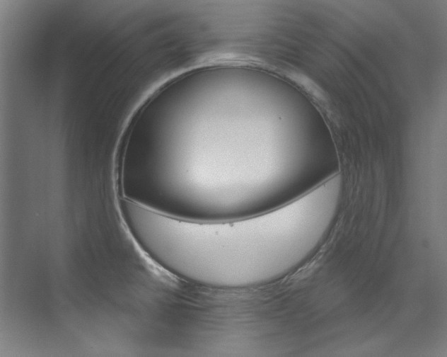 X0000074001430200608211056
