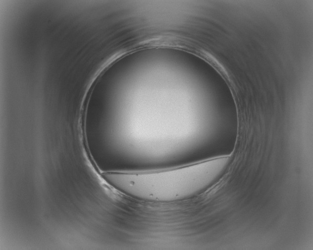 X0000074001434200608211056