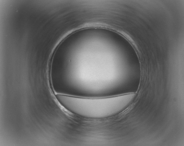 X0000074001438200608211056